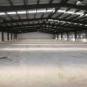 长清区厂房出租 轻钢结构 非中介 600 800 1600 