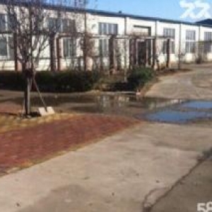 出租龙山办事处车间700平