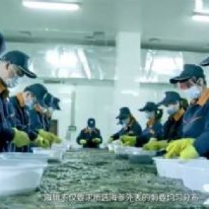 高新区东东孙村附近厂房、冷库