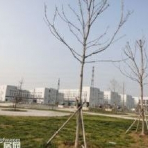 国企开发，单层厂房，政策扶持，生物医药专业园区