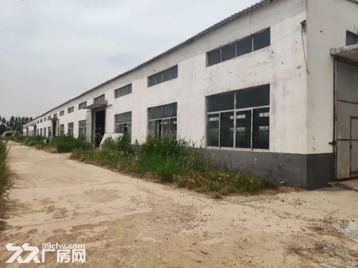出租厂房办公楼齐河宣章济南周边6000平可分租-图3