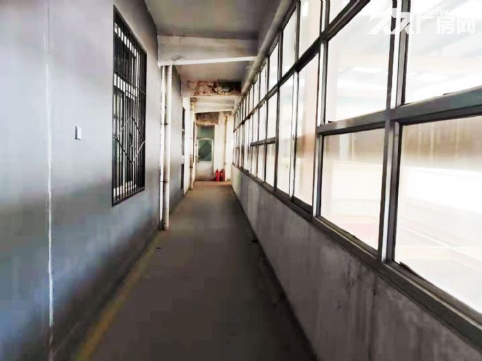 租金五毛 个人房源 厂房3000平 无物业 仓储办公培训展览-图4