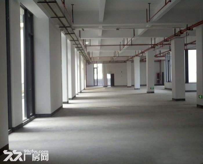 全新好厂房出租，正规园区，交通便利，配套齐全-图2