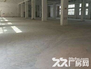 出租高新孙村临街门面1650平（可当门面仓库厂房）带1500平院免费用-图2