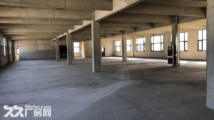 长期出租1000平二层标准厂房、仓库、可环评-图2