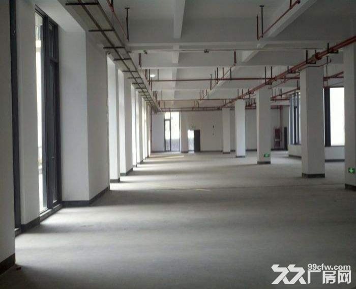 （非中介）机场附近全新厂房出租，正规园区，高性价比-图3
