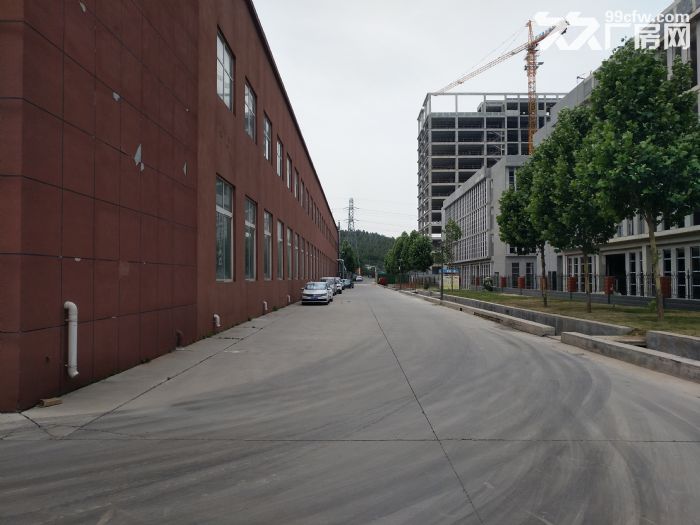 2500平米，11米层高，金钢砂地面，停车方便，带产权，园区自带大环保-图5