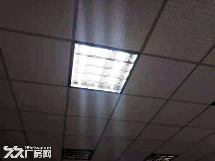 二环西路井家沟  车间出租  装修可改培训中心 办公楼-图3