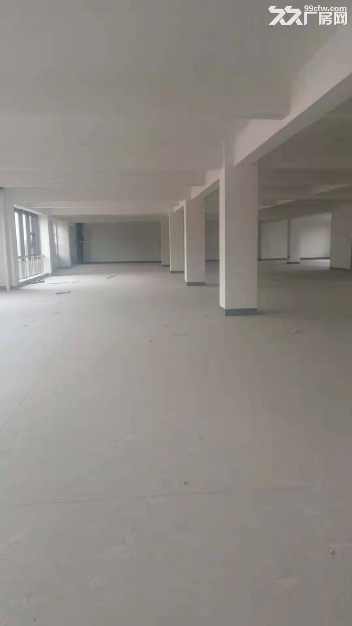 孙村春晖路智造谷8号楼出租5−6层厂房-图2