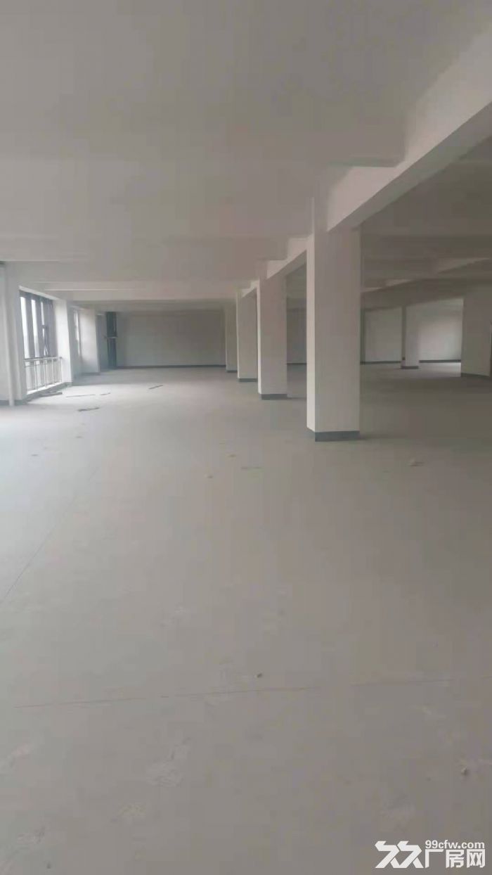 孙村春晖路智造谷8号楼出租5−6层厂房-图4