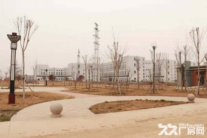 政府资产、免租政策、税费扶持、人才奖励、交通方便-图4