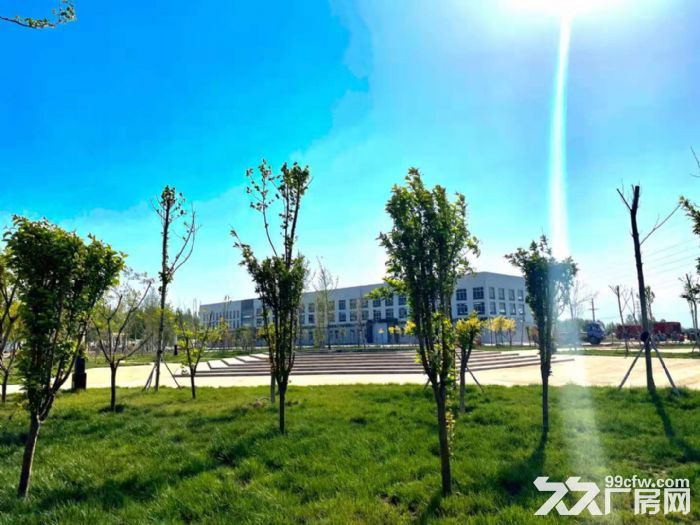 生物制药、医疗器械、大健康-图5