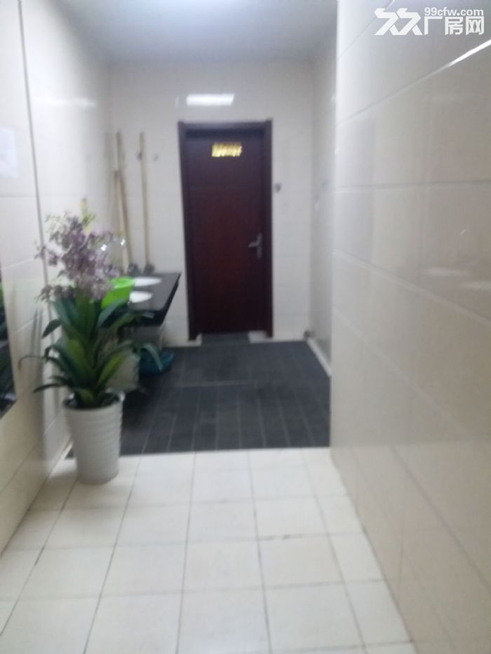 仓储，轻型加工厂房，办公出租！交通方便！-图4