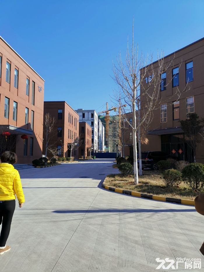 高性价比厂房660平起，可单层、可整体。-图7